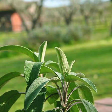 Agriturismo La Mandragola Relais Кротоне Екстериор снимка