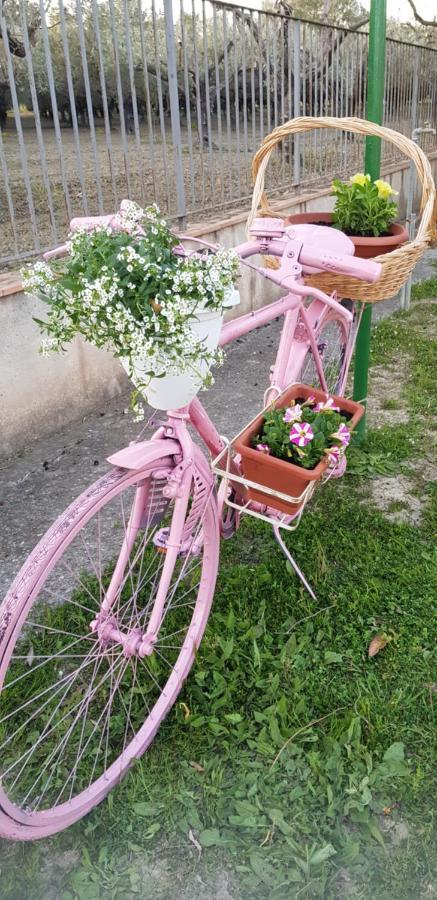 Agriturismo La Mandragola Relais Кротоне Екстериор снимка