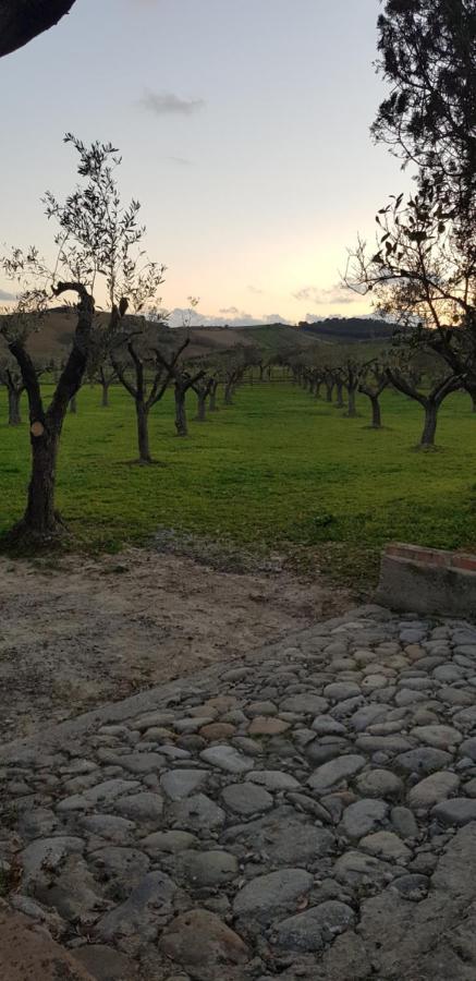 Agriturismo La Mandragola Relais Кротоне Екстериор снимка