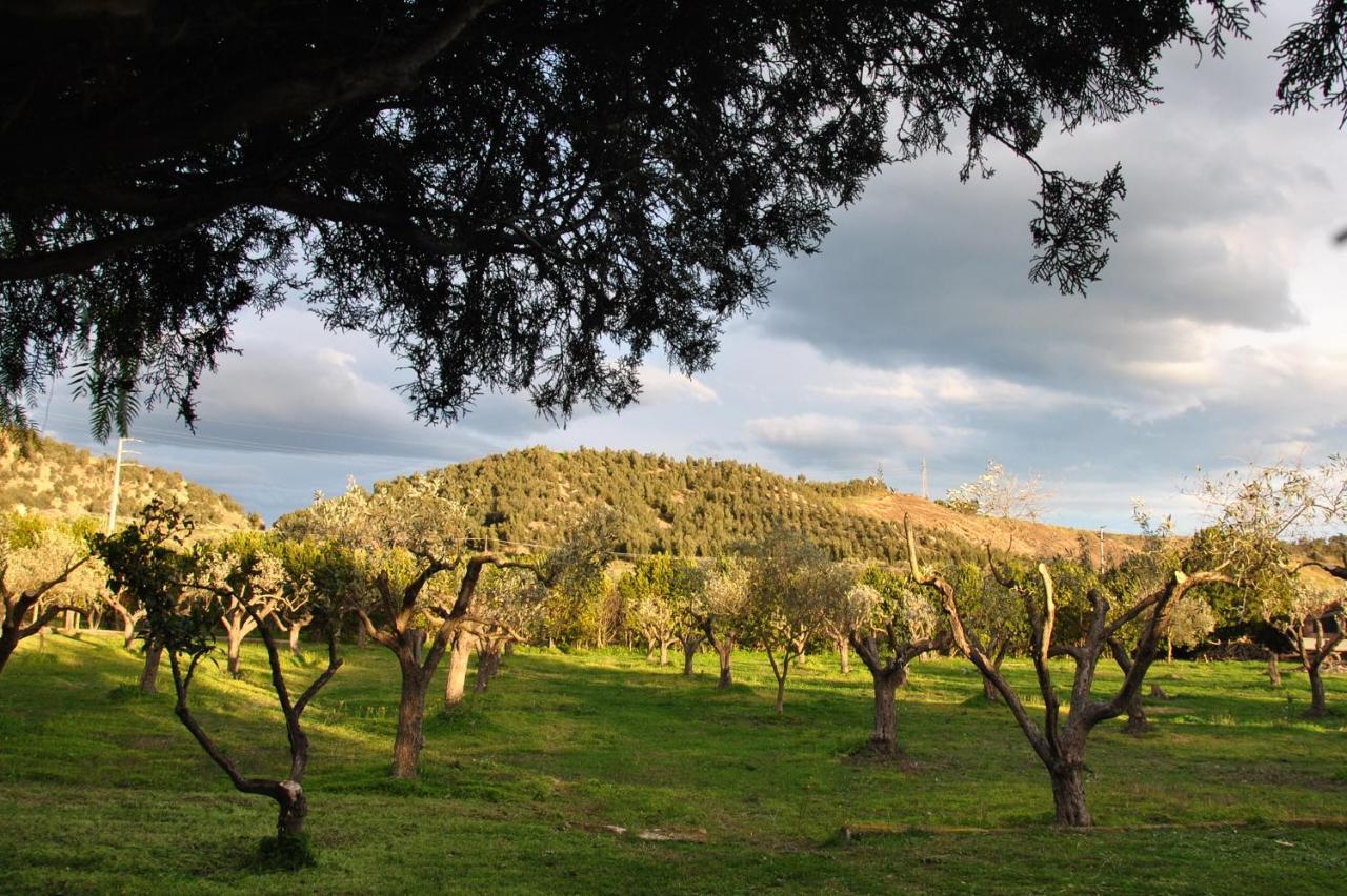 Agriturismo La Mandragola Relais Кротоне Екстериор снимка